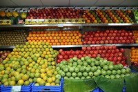 Nandamuri Vasundhara Inaugurates Pure O Natural Outlet